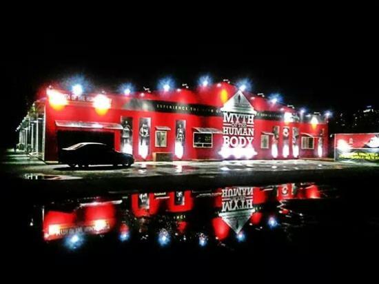 Myth of the Human Body