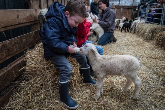 Belevenisboerderij Schieveen