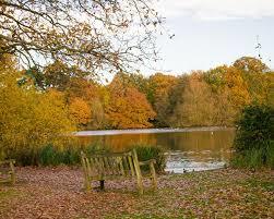National Trust Hatfield Forest
