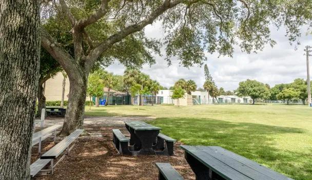 Davis Park