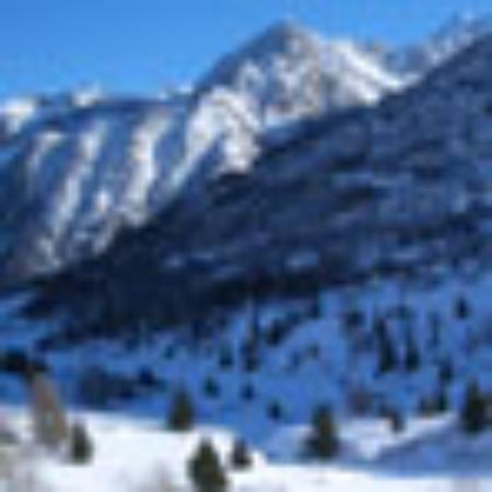 Dairy Queen Grill & Chill