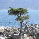 Philly Steak Factory