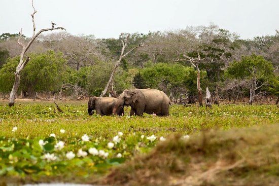 Destination Sri Lanka