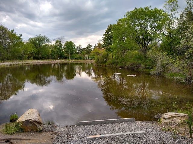 Capisic Pond Park