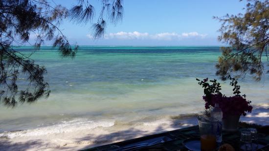 Maisha Mazuri Horse Riding Club